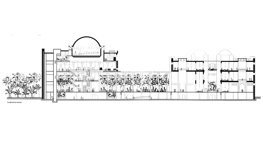 Section through the National Museum of the UAE project by RTA